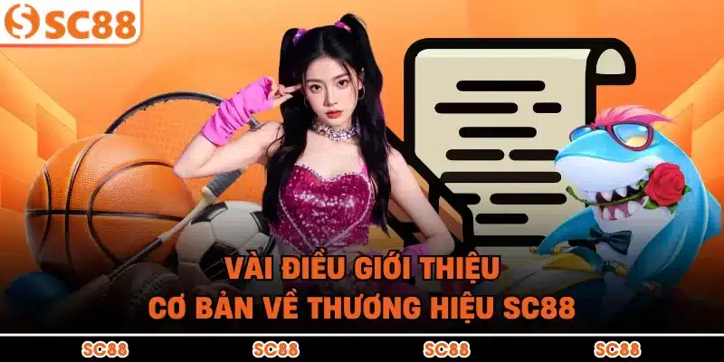 Vài điều giới thiệu cơ bản về thương hiệu SC88